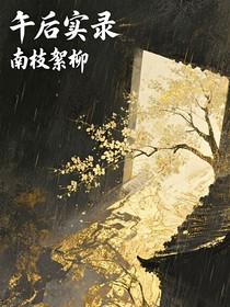 午后实录