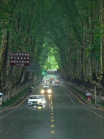 cp大杂烩（重建版）
