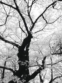 福禍相存