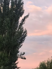 校园缘来