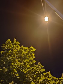 余晖长城