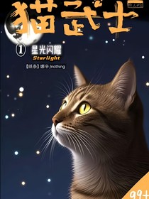 猫武士星光闪耀