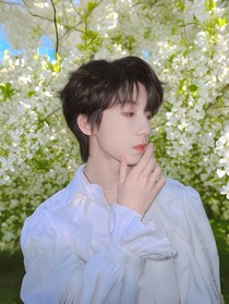 杨博文—槐花落尽，与君归