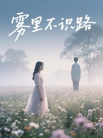 雾里不识路