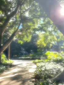 盛夏有聲