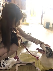 夕陽夏日