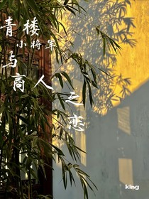 小將軍別來無恙
