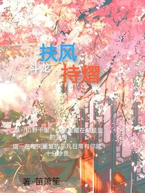 扶风持熠
