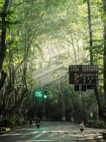 這個故事告訴我們不要見什么都想撿回家