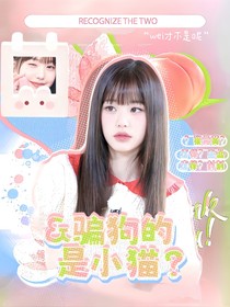 （暫不接）水靈封面鋪