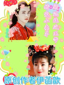 新還珠之王爺嬌寵小妻子