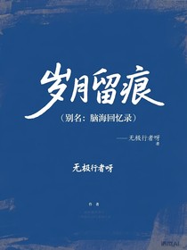 岁月留痕（别名：脑海回忆录）