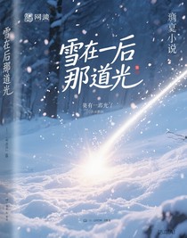雪后的那道光
