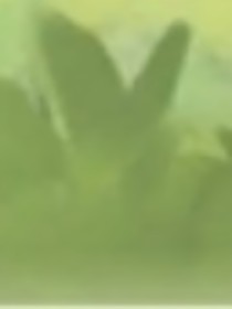 ch：不要随随便便就让人穿越啊混蛋