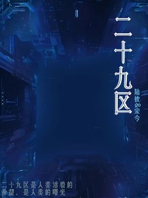 二十九區(qū)
