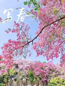 写春