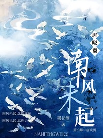 唐曉翼：南風(fēng)未起