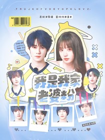 戰(zhàn)至巔峰4：我是我家老婆粉