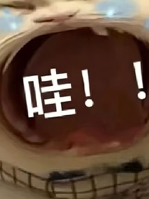 破防選手預(yù)備備