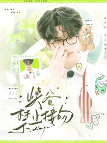 戰(zhàn)至巔峰4：峽谷禁止接吻