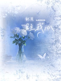 似風(fēng)駐我心