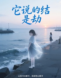 它说的结，是劫