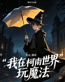 我在柯南世界玩魔法