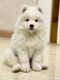 只想搞石頭的元a圖庫(kù)
