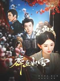 书卷一梦：碎玉如雪