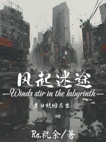 風(fēng)起迷途