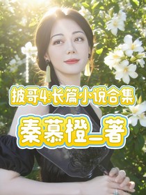 披哥4：長篇小說合集
