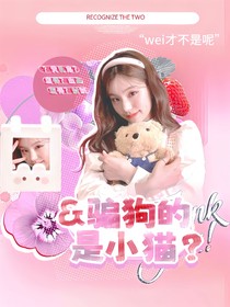 （暂不接）水灵封面铺