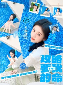 一起来看流星雨封面铺