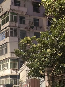 四季，風(fēng)，海與你