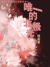 唯一的北極光