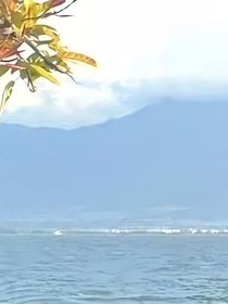 故都烬，旧梦辞
