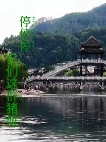 停停停，你们这群猪妞