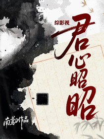 綜影視：君心昭昭