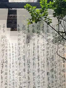 梔子花逢春