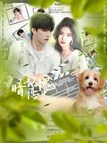 苏新皓：玫瑰暗恋史