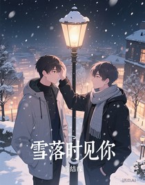 雪落時(shí)見(jiàn)你