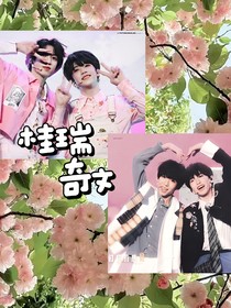 桂瑞奇文，，，，