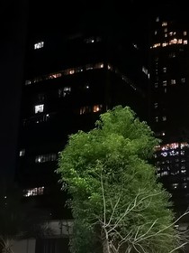 亂寫的（圍繞cp）