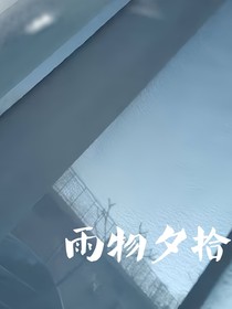 雨物夕拾