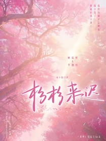 杉杉还是来迟了