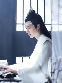 穿越之陈情令独宠小娇妻
