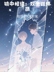鏡中相逢：雙生羈絆錄