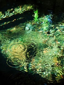 綜影視：雨打海棠