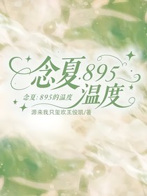 念夏：895的温度