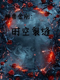 神兽金刚：时空裂痕